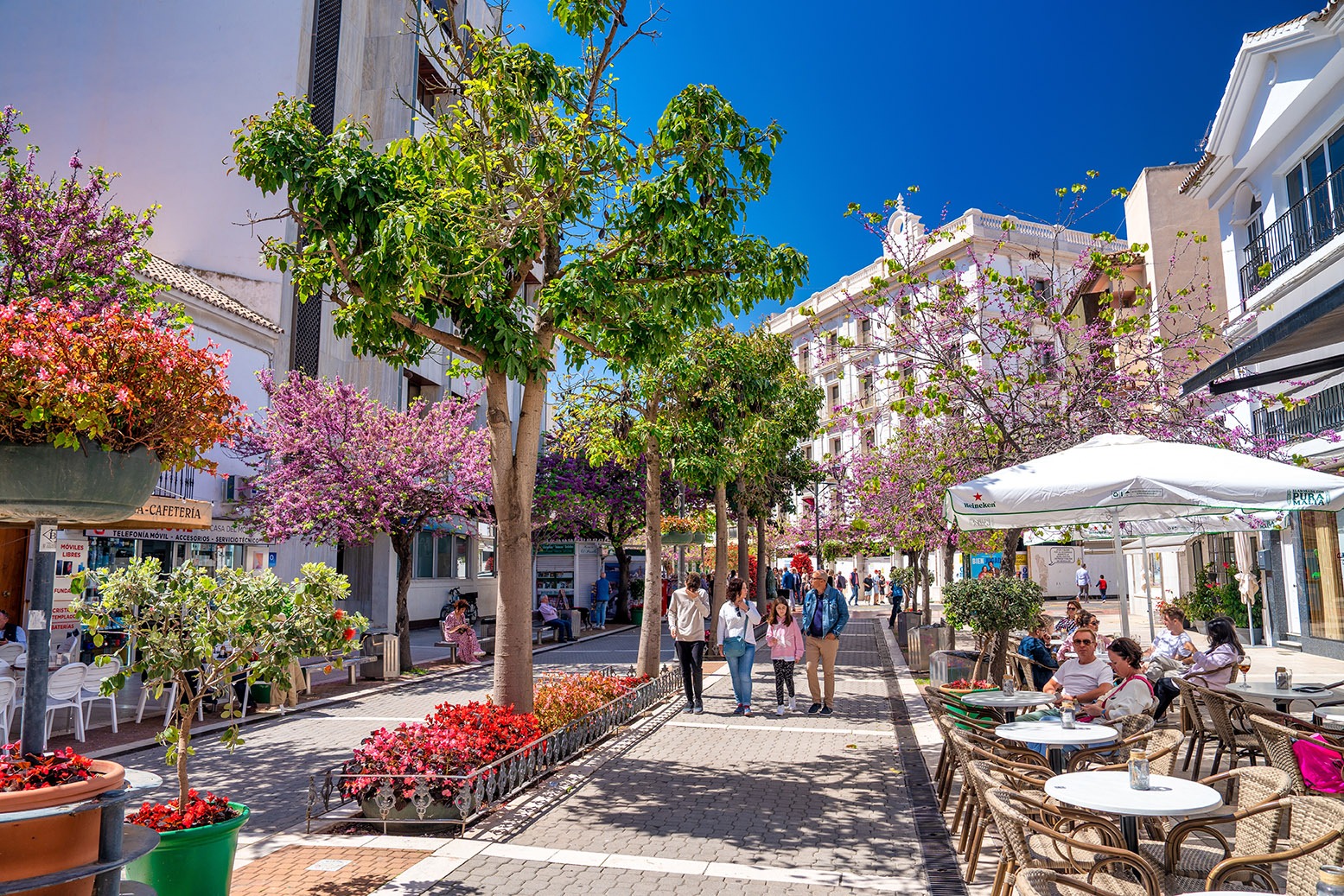 Straat in Estepona met terrasjes, bloeiende bomen en winkeltjes